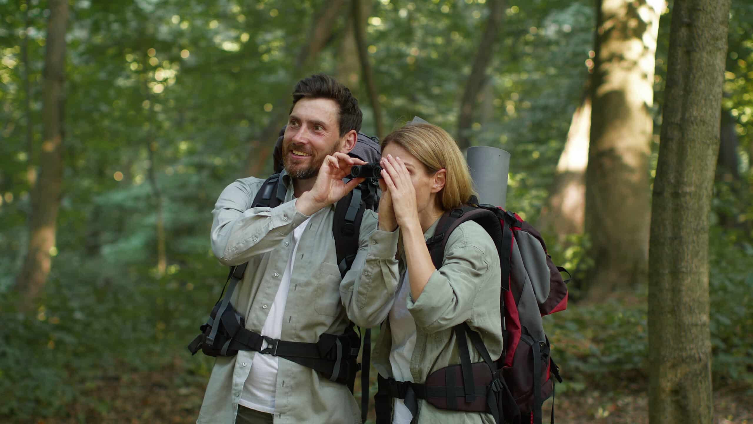 tourists hiking in nature